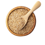 best protein sources for vegetarians